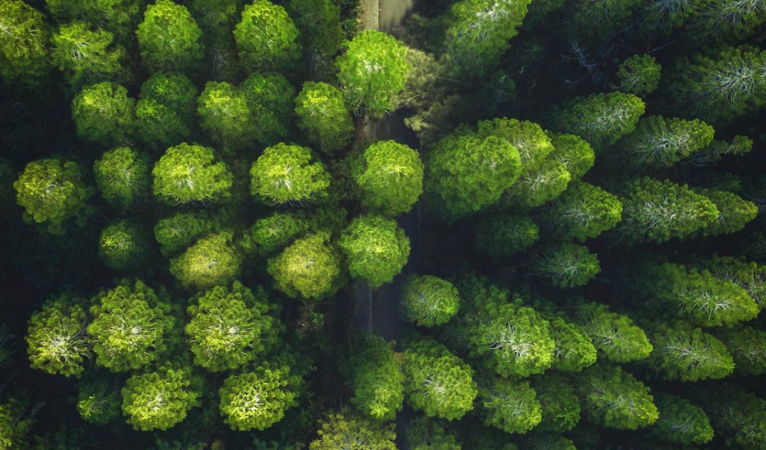 The choices of Do Well Do Good