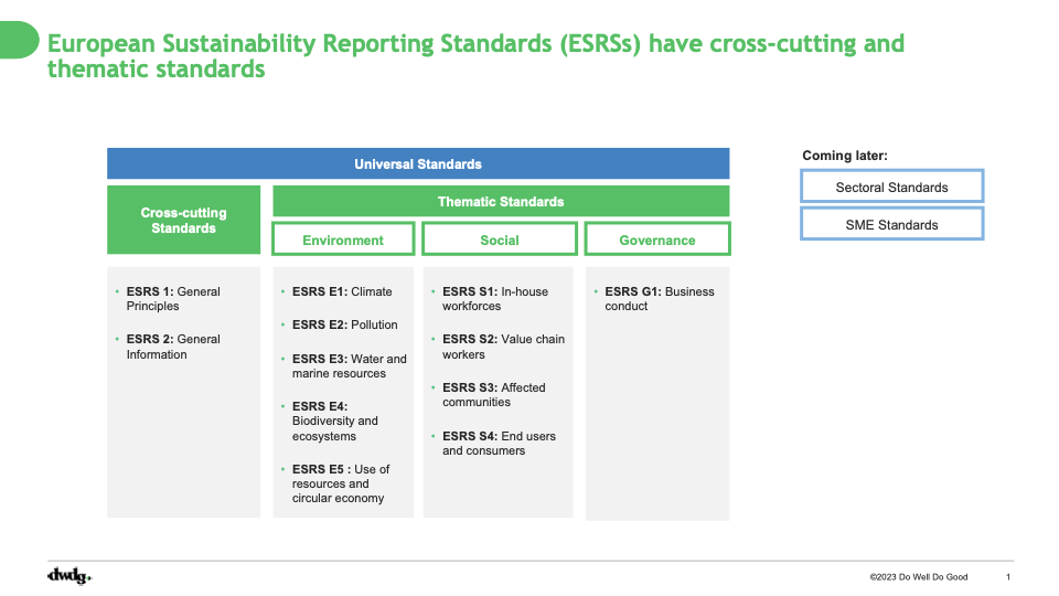 European Sustainability Reporting Standards (ESRSs) have cross-cutting and thematic standards